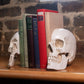 Skull Bookends