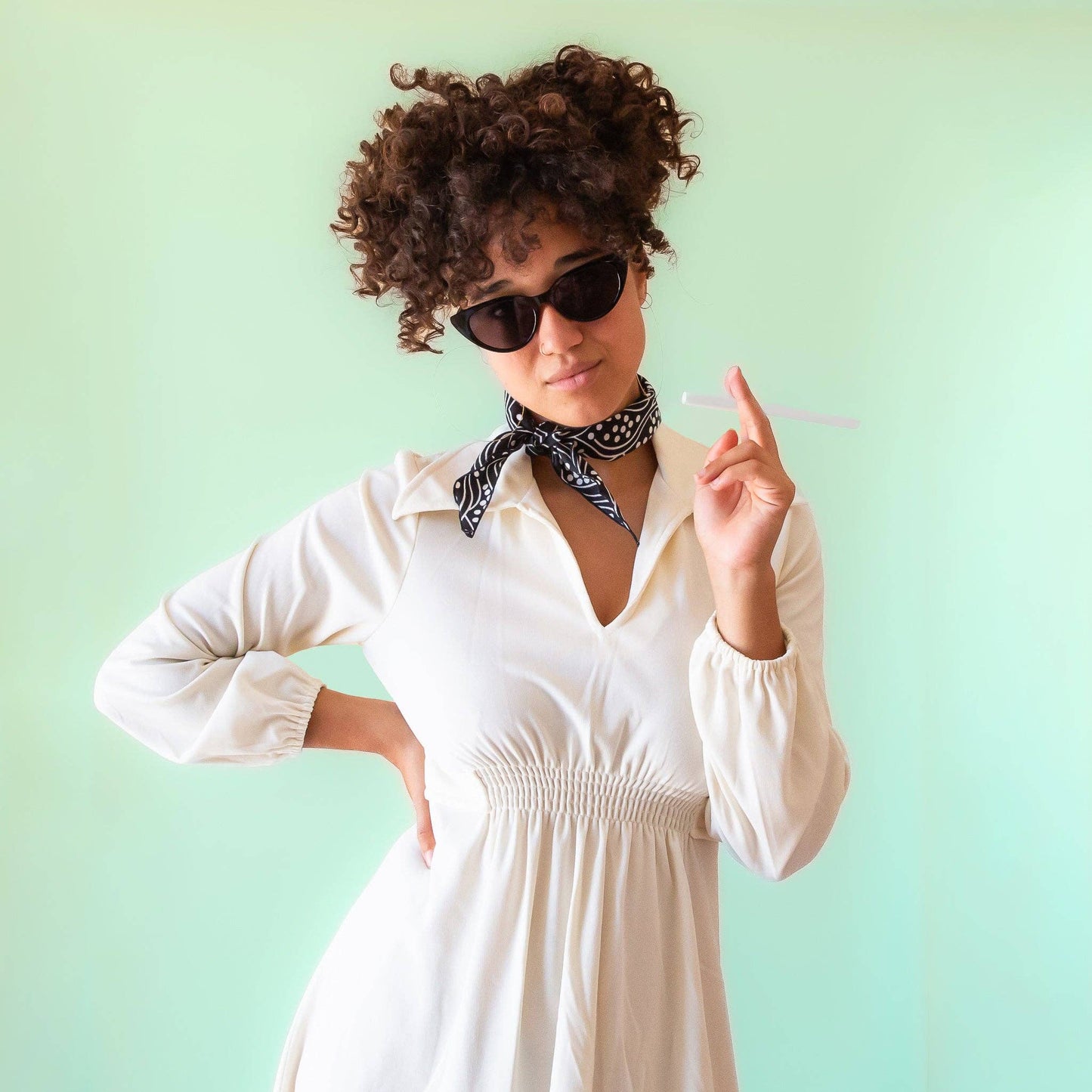 Frenchie Sunglasses : Cloud