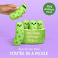 Emotional Support Pickles - Set of 5 Pickles