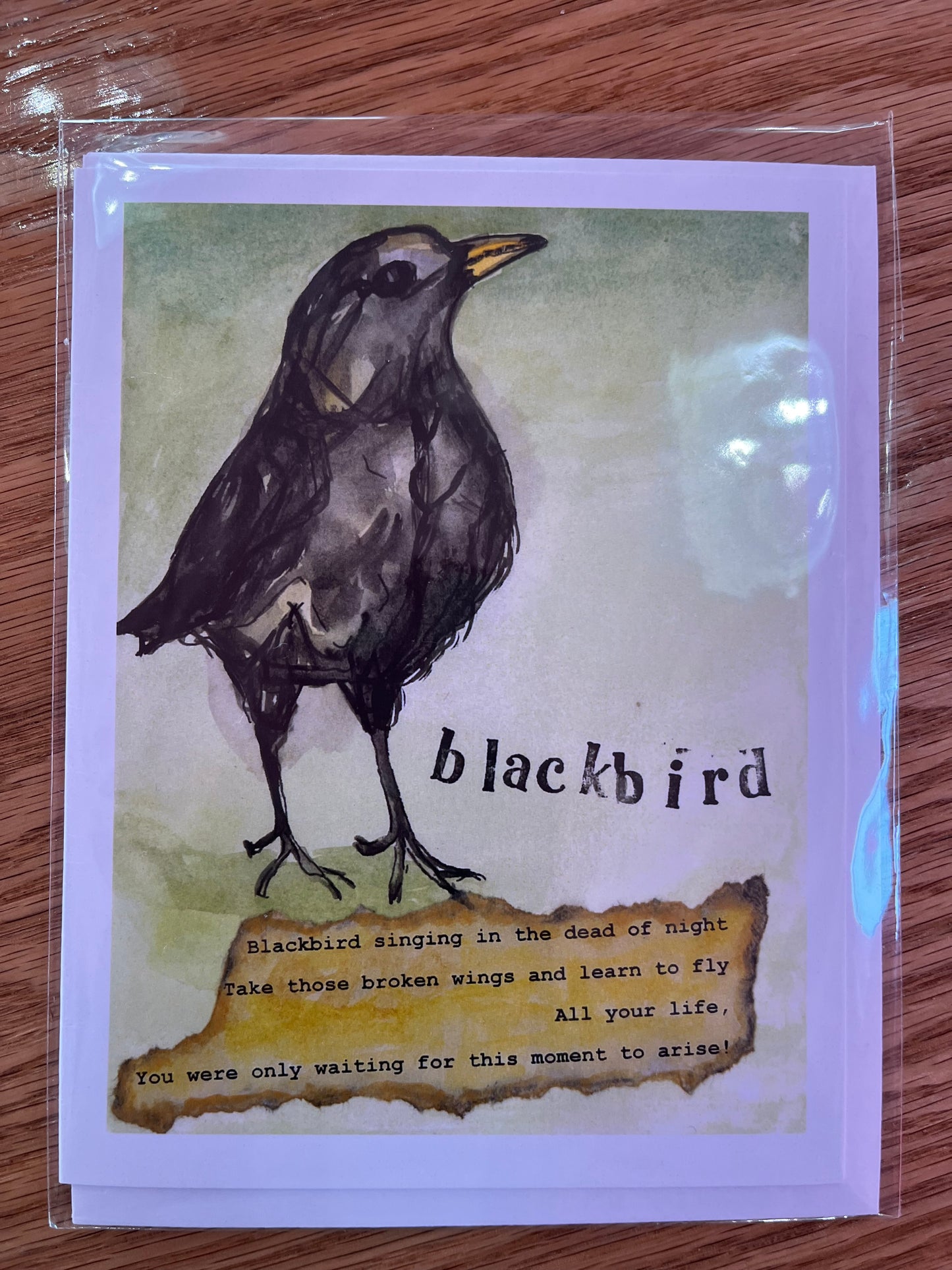 Mary Lee Illustrated Cards