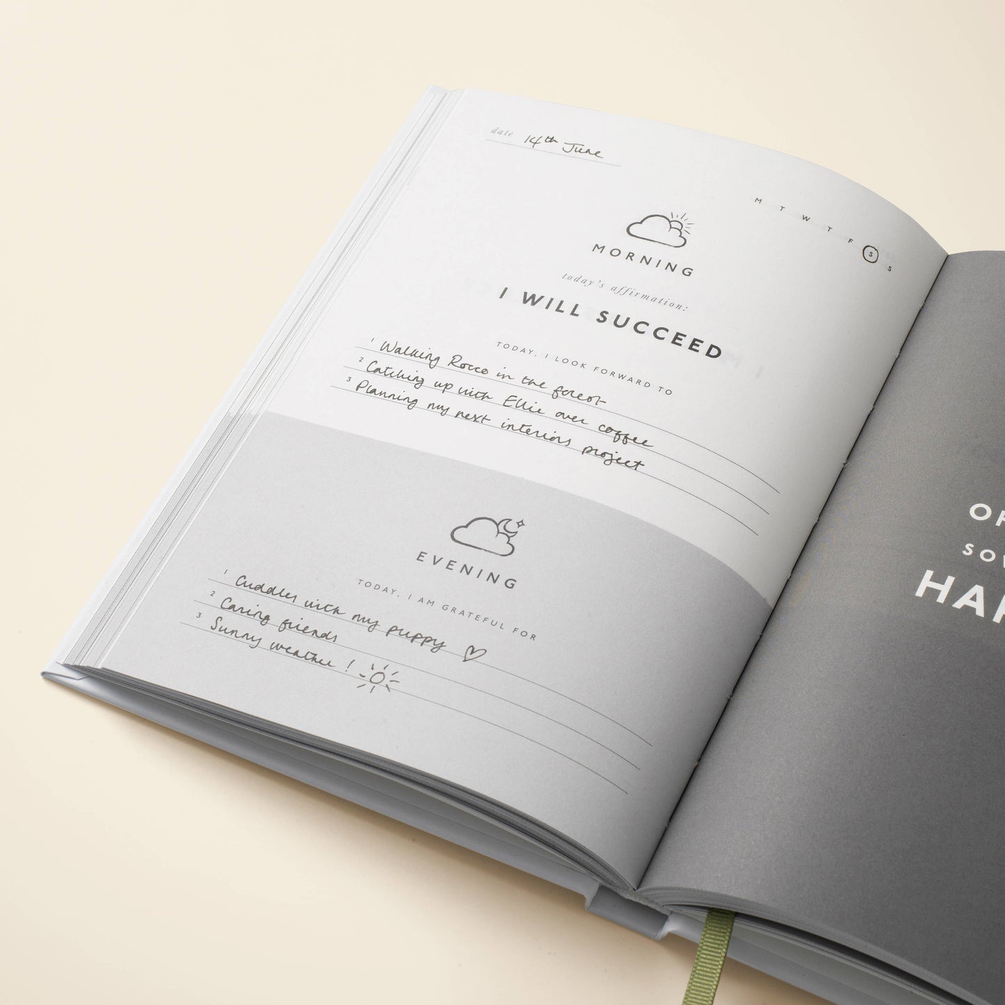 Guided Gratitude Journal- Little Daily Thanks