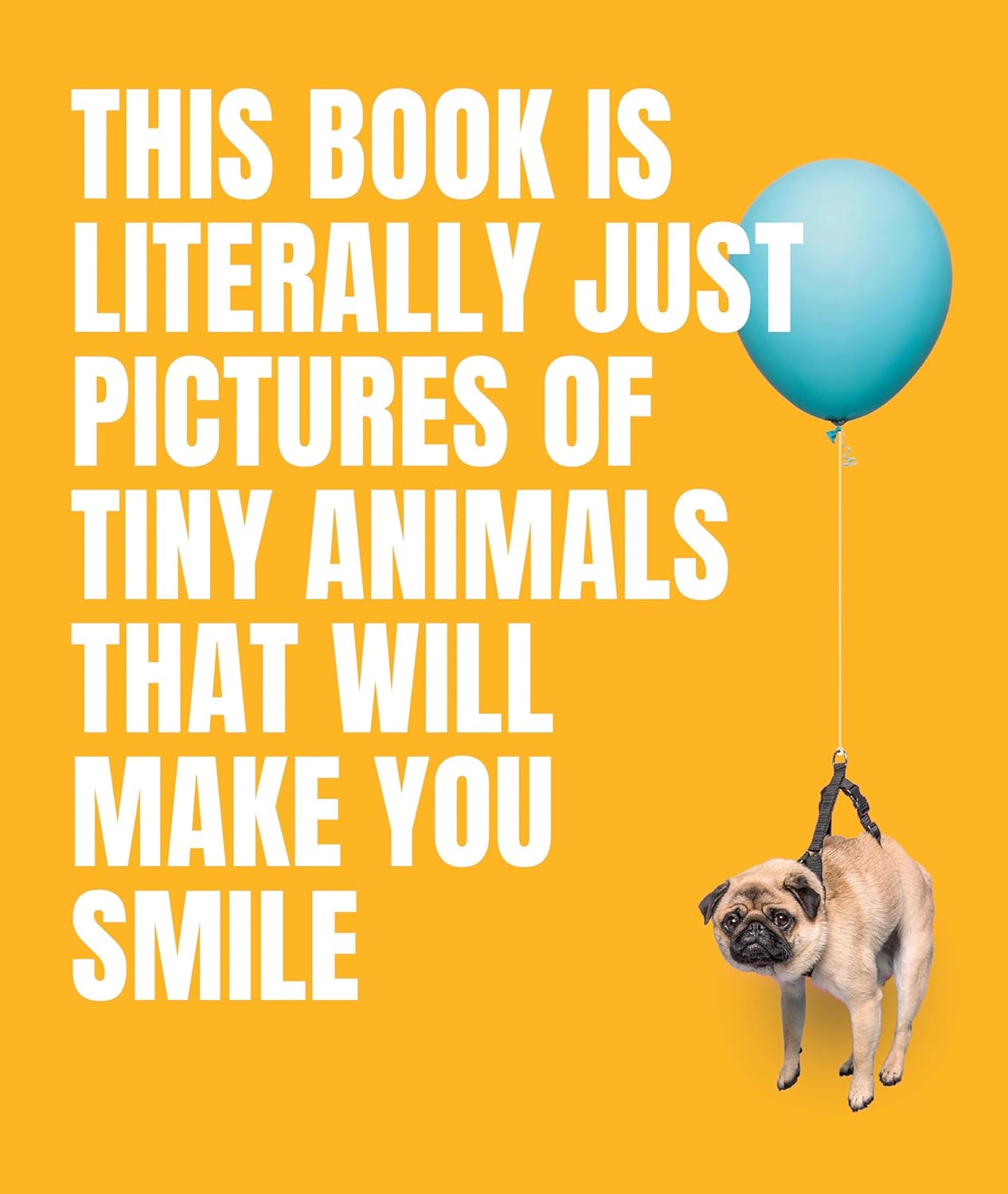 This Book Is Literally Just Pictures of Tiny Animals That Will Make You Smile