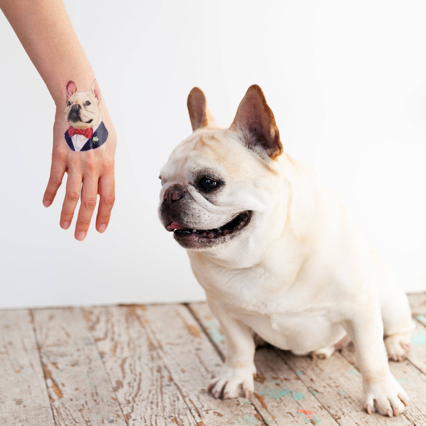 French Bulldog Tattoo Pair