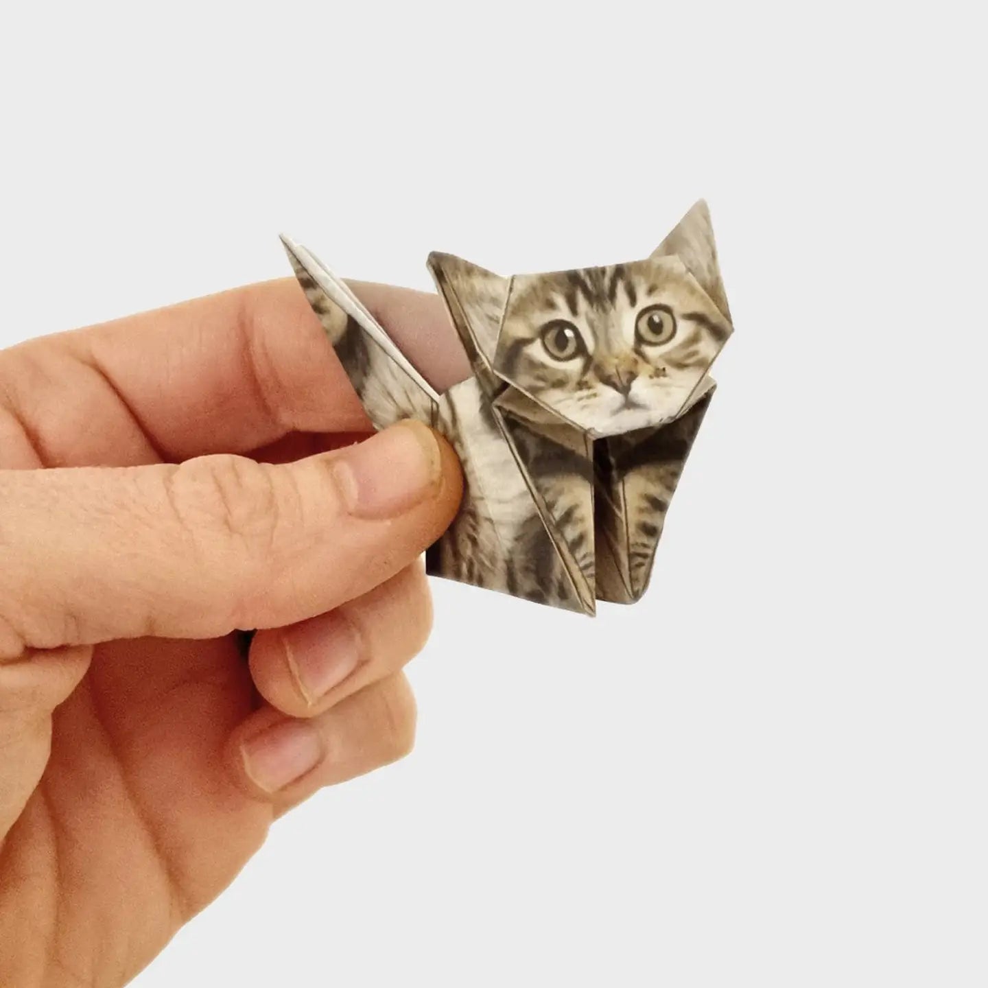 Paper Cats-Origami