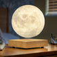 Gingko Smart Moon Lamp