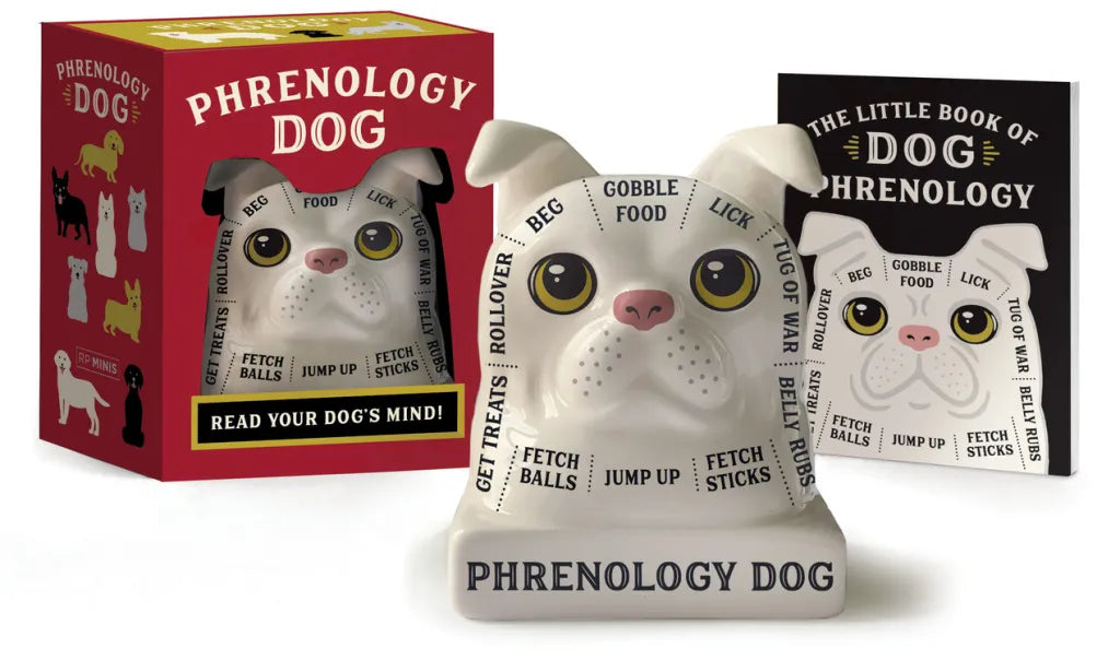 Phrenology Dog RP Mini
