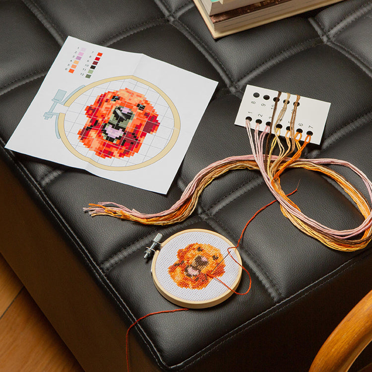 Mini Cross Stitch Embroidery Kits from Kikkerland