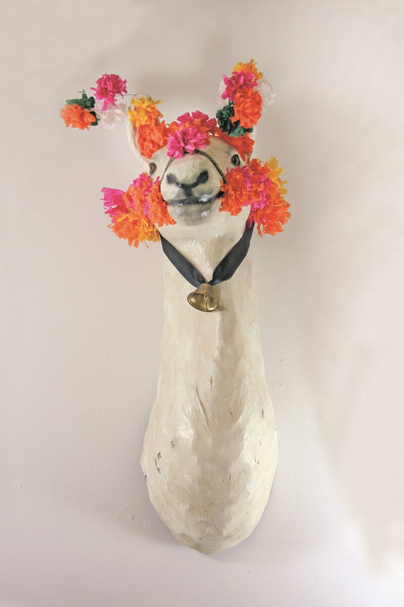 Llama Head Mount