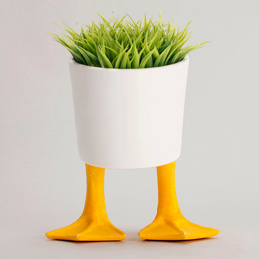 Large Duck Feet Planter