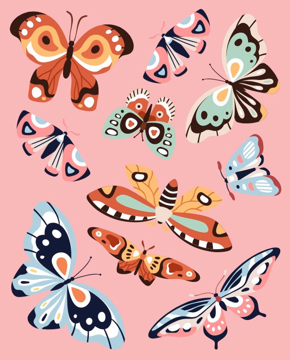 Pink Picasso Paint Kits