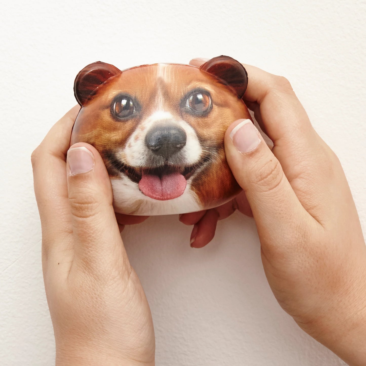 Feeling Ruff? Doggo Stress Balls