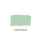 Calm Palm: Daydream Apothecary Clay and Chalk Artisan Paint