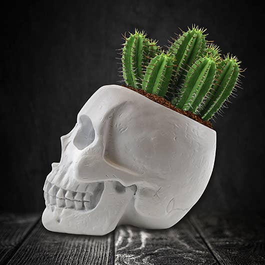 Skull Planter