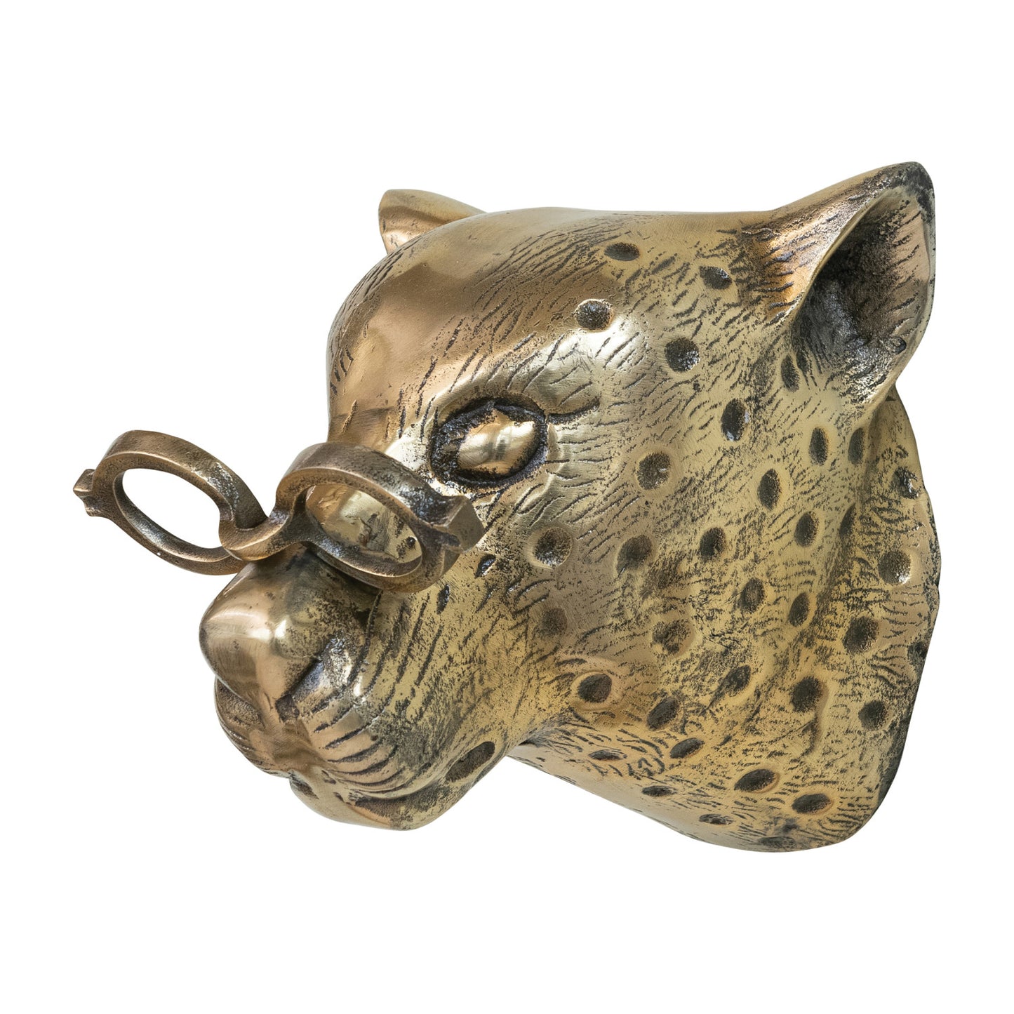 Cast Aluminum Leopard Head with Eyeglasses Wall Décor