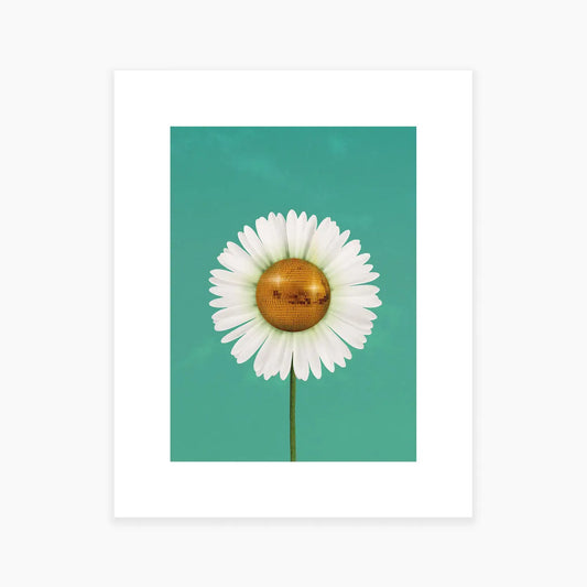 Daisy Disco Art Print