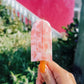 Large Strawberry Cream Paleta Hair Claw
